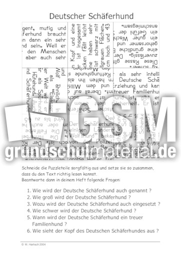 Deutscher Schäferhund.pdf